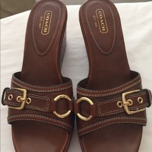 Brown leather shoes